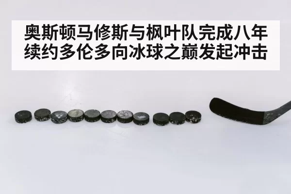 奥斯顿马修斯与枫叶队完成八年续约多伦多向冰球之巅发起冲击